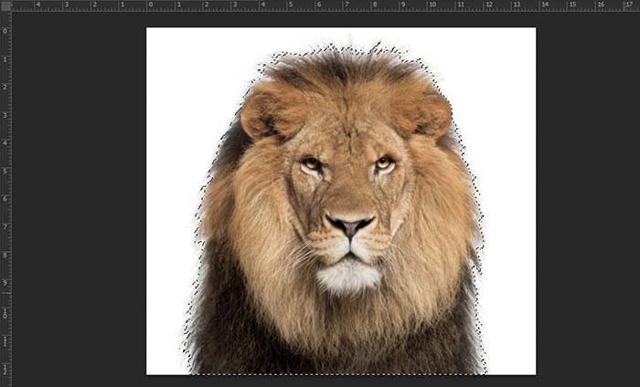 TNC Store Cách Đảo Ngược Vùng Chọn Trong Photoshop